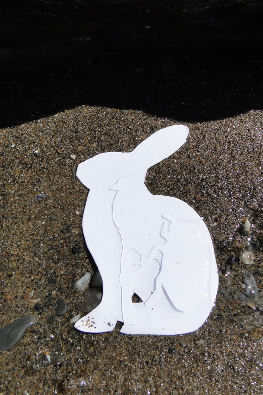 paper cut outs at the beach