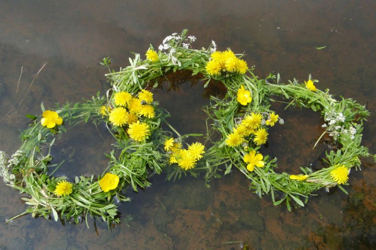 rings made from wild flowers in a pond
