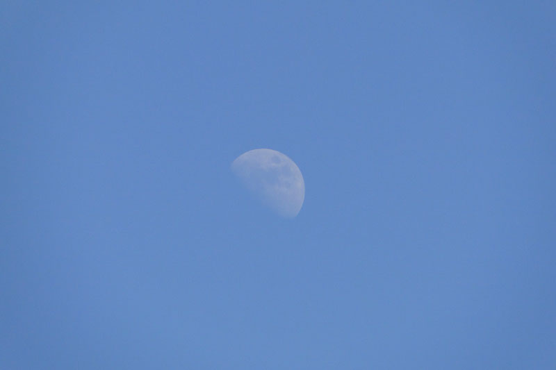 the moon in daylight