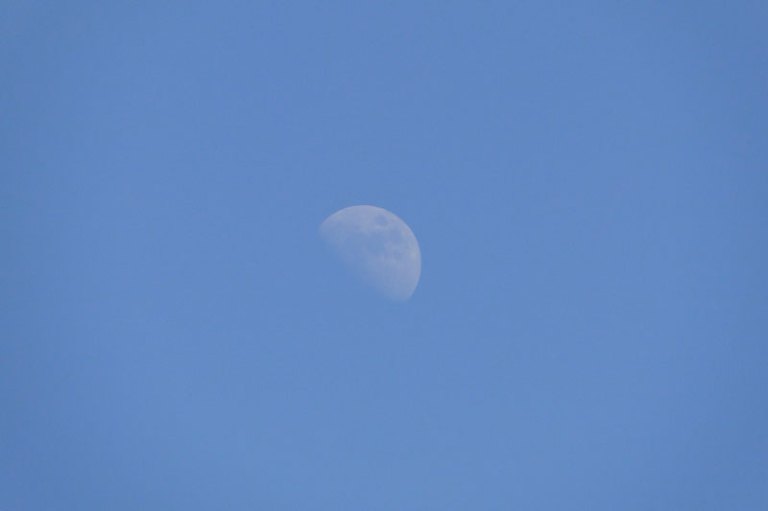 the moon in daylight