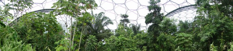  inside a dome at the eden project