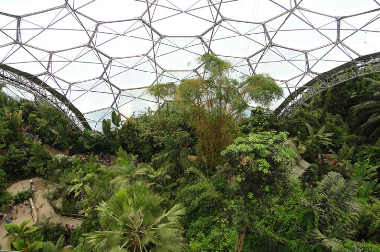 inside the dome at the eden project