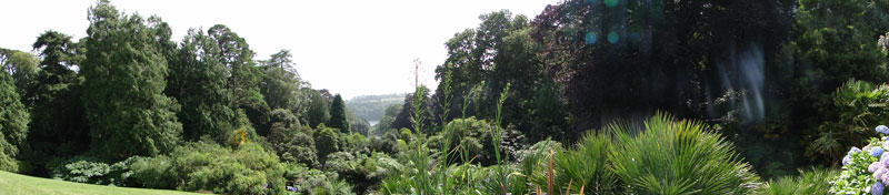 Trebah gardens