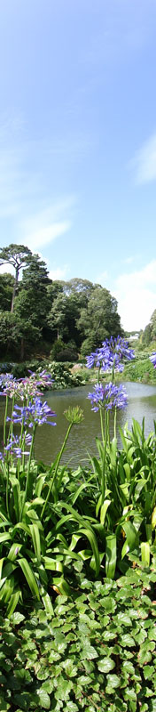 Trebah gardens