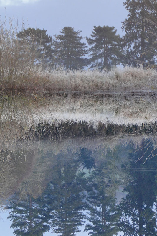 reflectionreflection