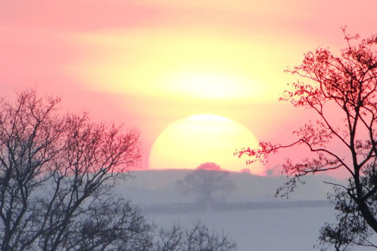 Colours of the week are..... pink and g