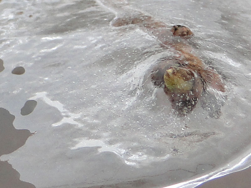 thin ice