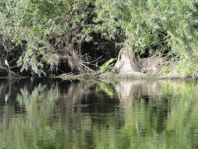 Left, right and centre