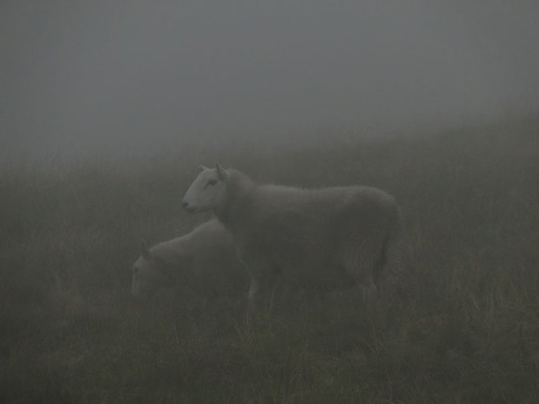 Climb every mountain.