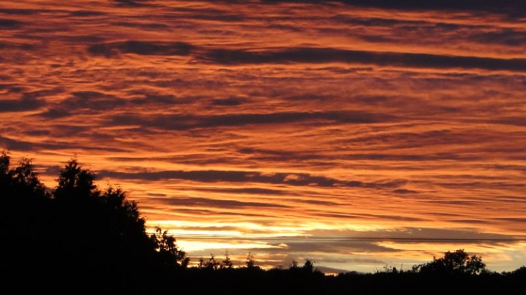 The evening before...