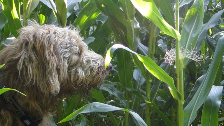 The evening before...