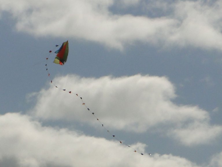 Let's go fly a kite