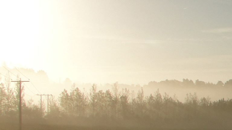 Misty morning