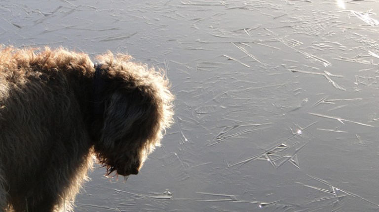 Does my lens need cleaning?