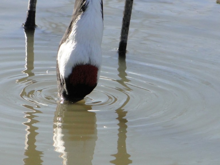 A Week of Reflections #1