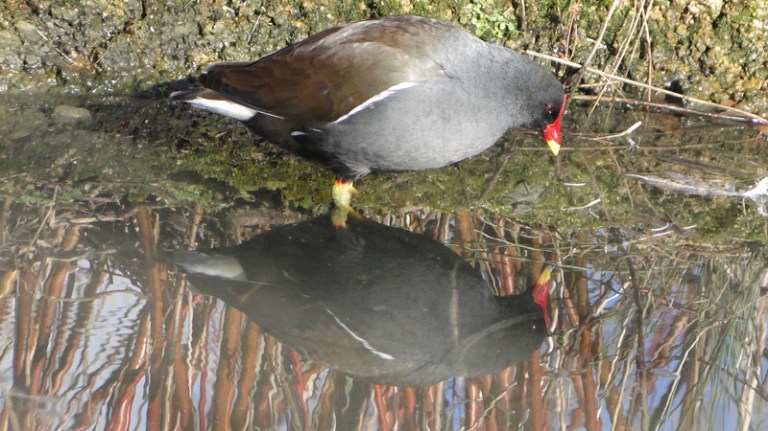 A Week of Reflections #3