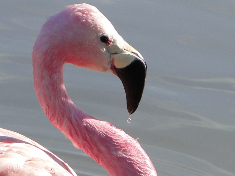 Colour of the week is...