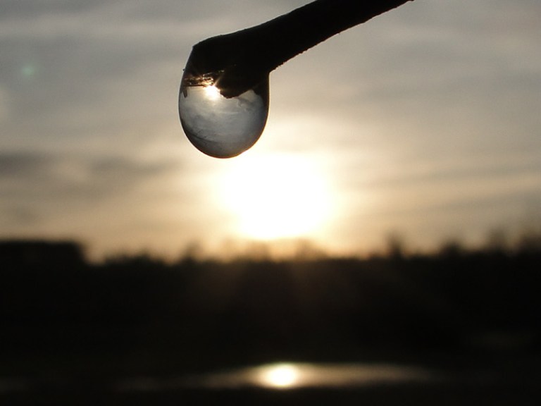 A Week of Reflections #4