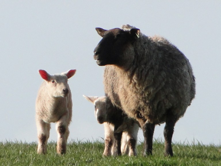 Spring is in the air