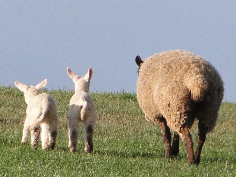 Spring is in the air