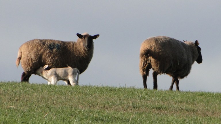 Spring is in the air