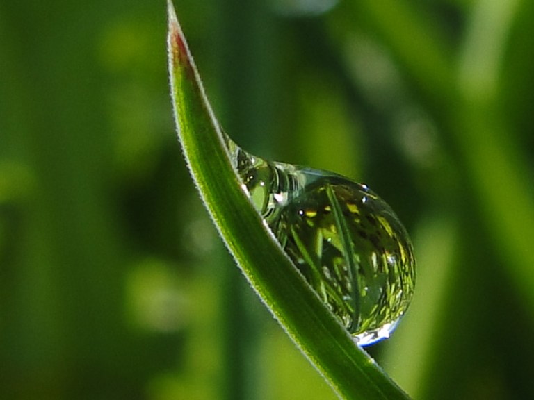 Colour of the week is... green