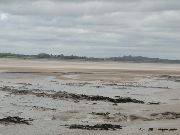 Estuary