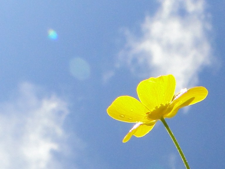 Colours of the week are... yellow and blue