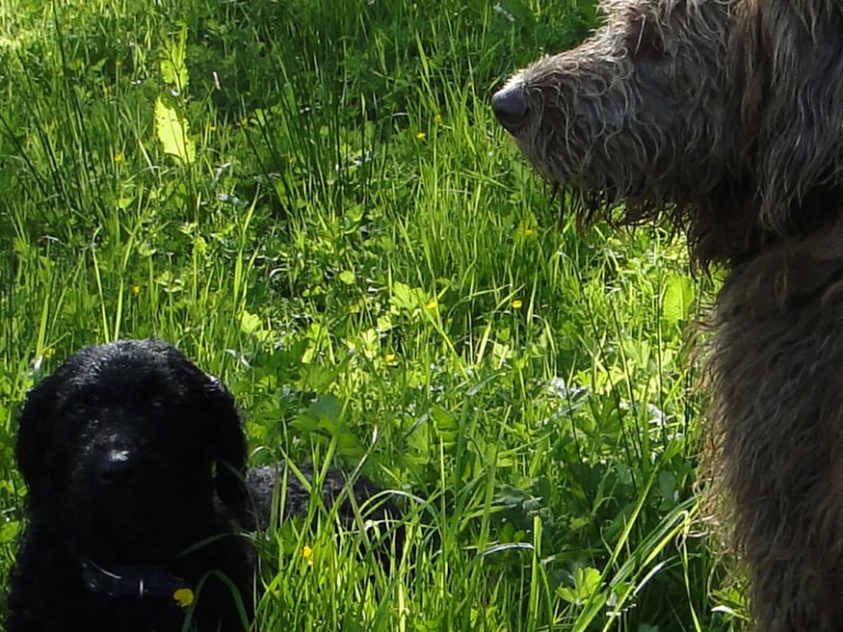 Colour of the week is... Green