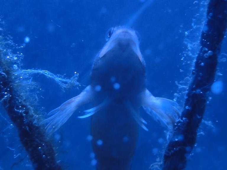 Colour of the week is... blue