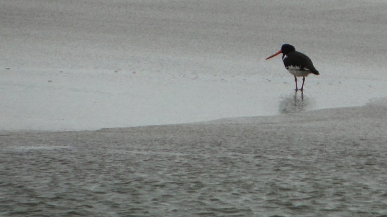 Colour of the week is... grey