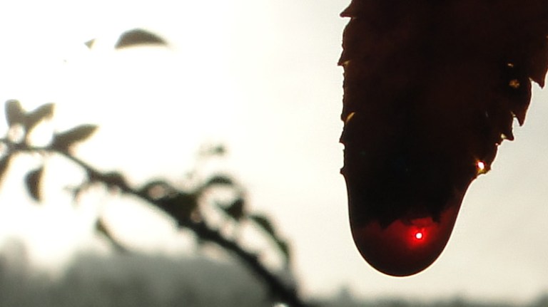 Colour of the week is... red