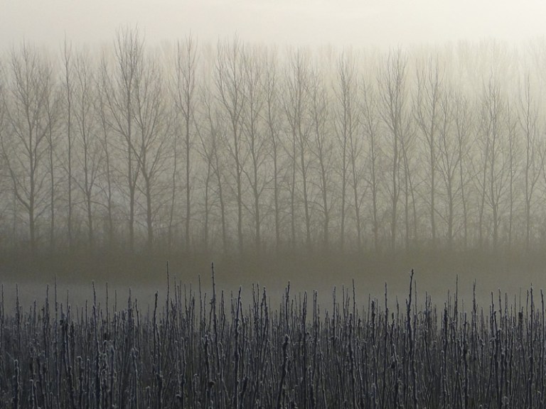 Colour of the week is... grey