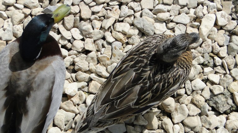 Just the two of us...