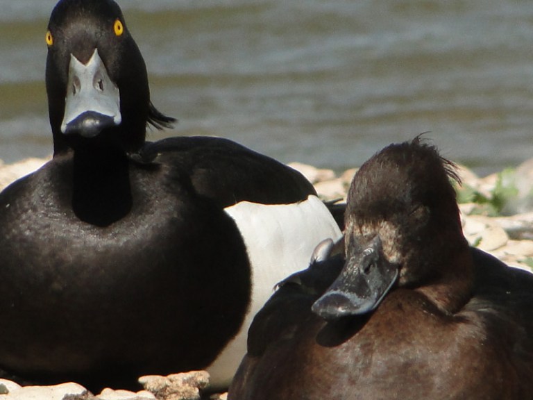 Just the two of us...