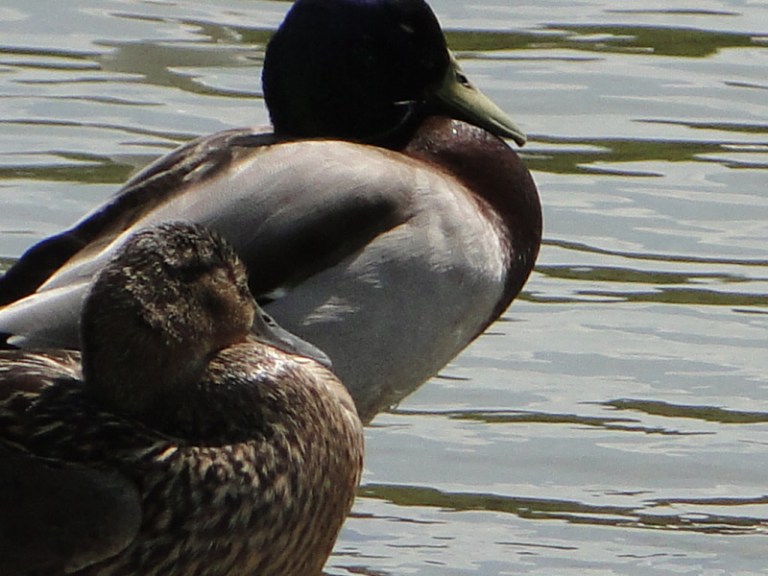 Just the two of us...