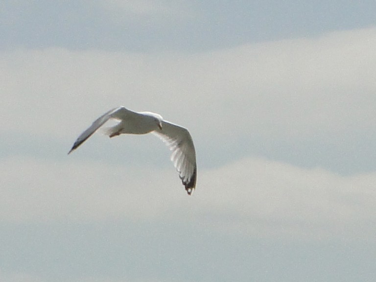 Happiness is... an empty beach
