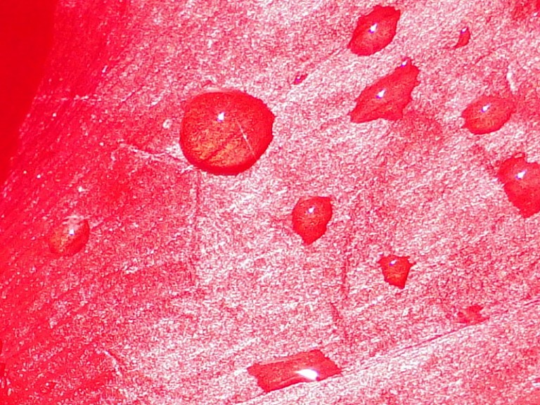 Colour of the week is... red