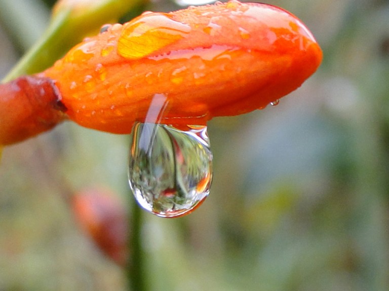 Droplet