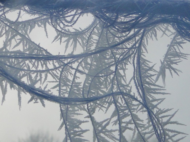 Colours of the week are... blue and white