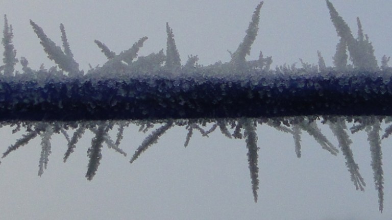 Colours of the week are... blue and white