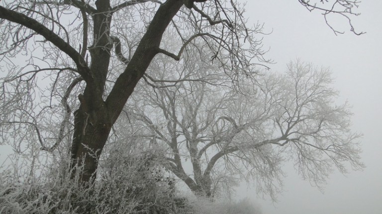 A few days of winter