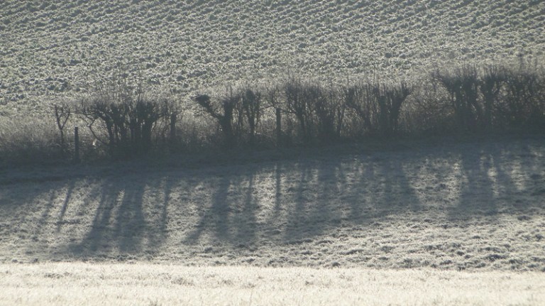 winter shadows