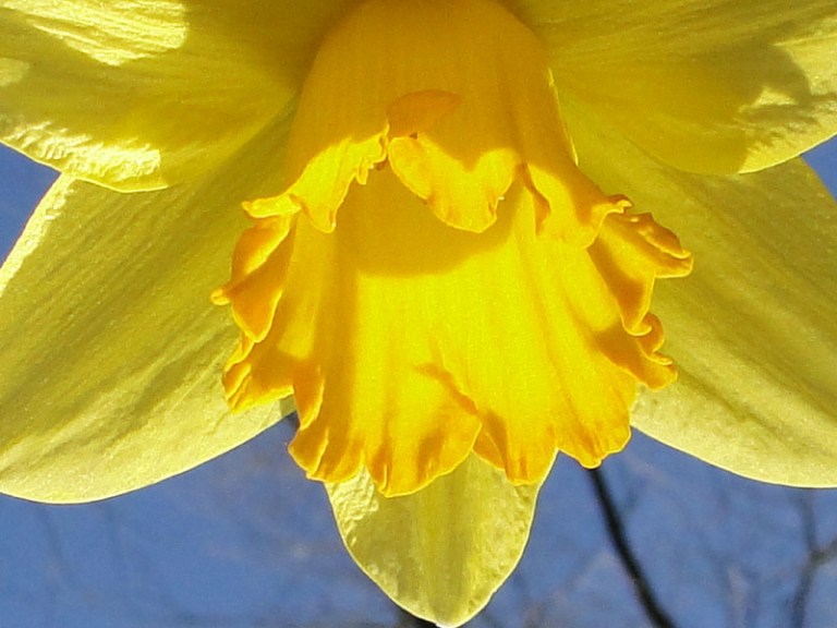 Spring #3