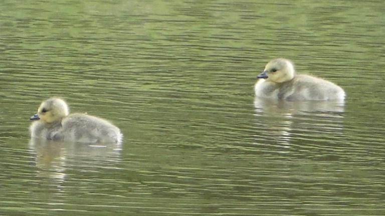 this year... last year