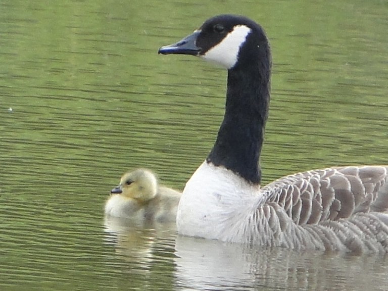 this year... last year