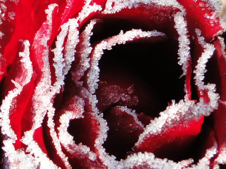 Colour of the week is...