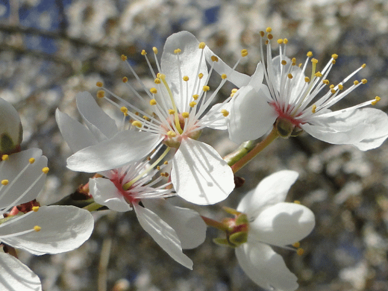 here today...gone tomorrow