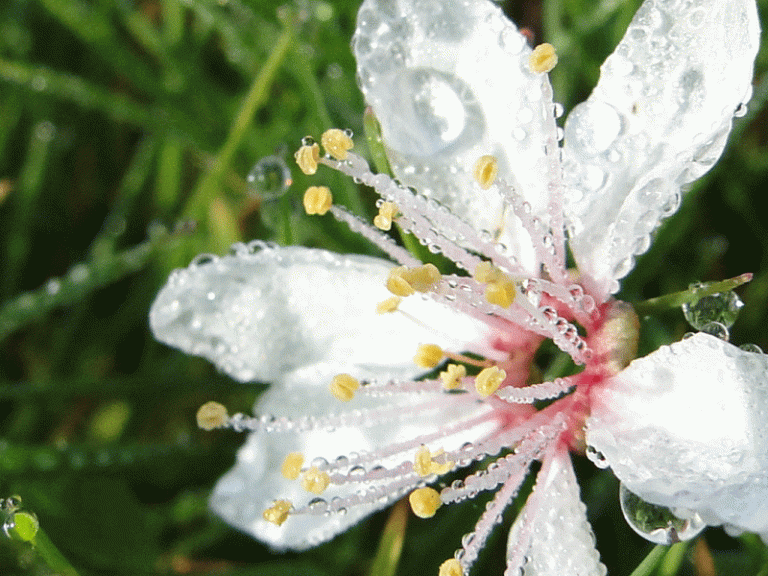 here today...gone tomorrow