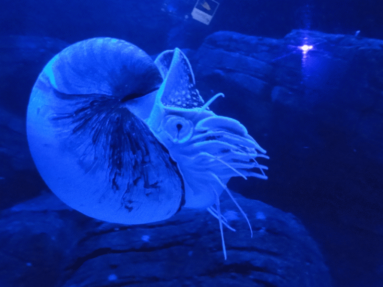 Colour of the week is.... blue 